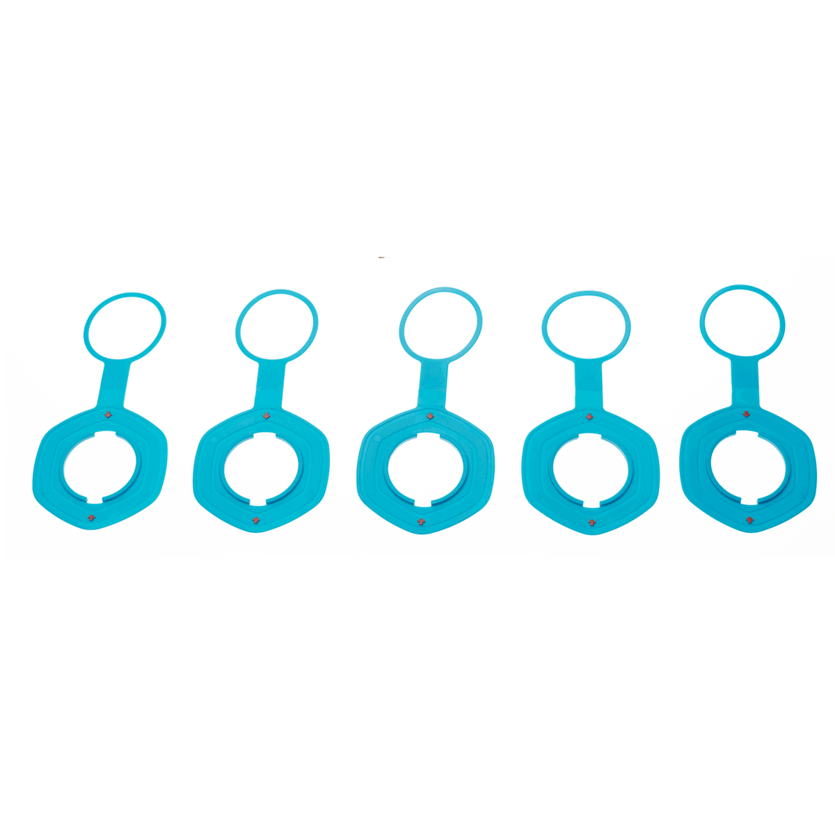 Air Port Valve Ii Disc (ss20-onw) (5pcs)