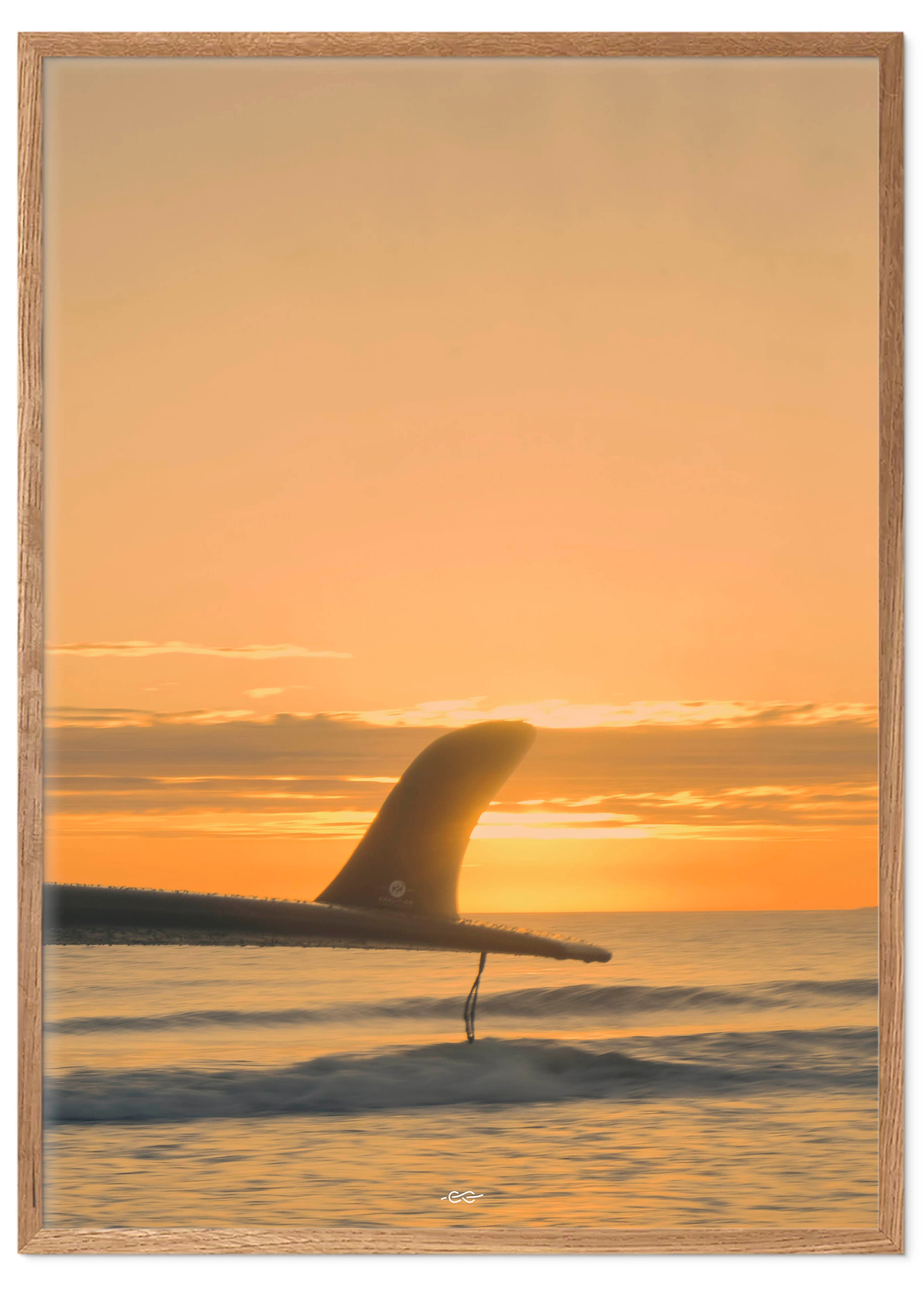 Sunset Fin 40x50 - Poster