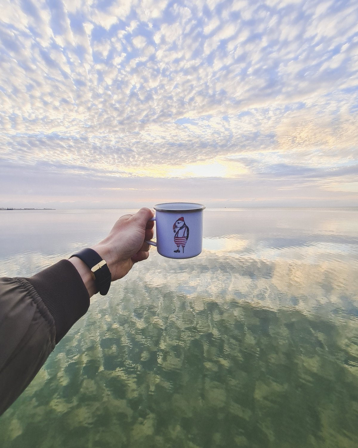 Lakor - Atlantic lunnefågel Emaljmugg