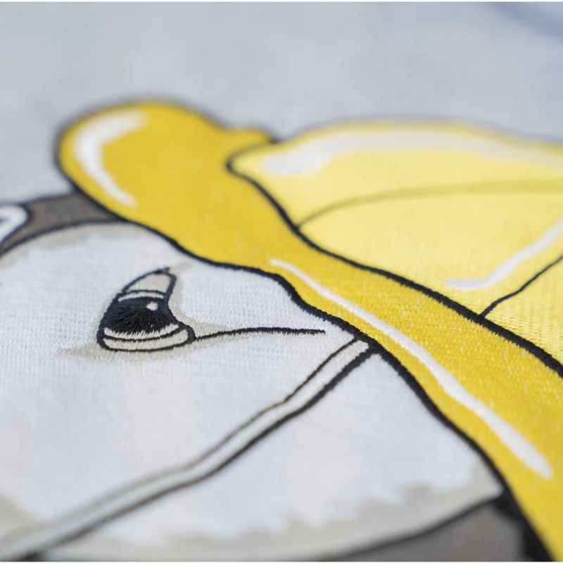 Lakor - sydvästra lunnefågel