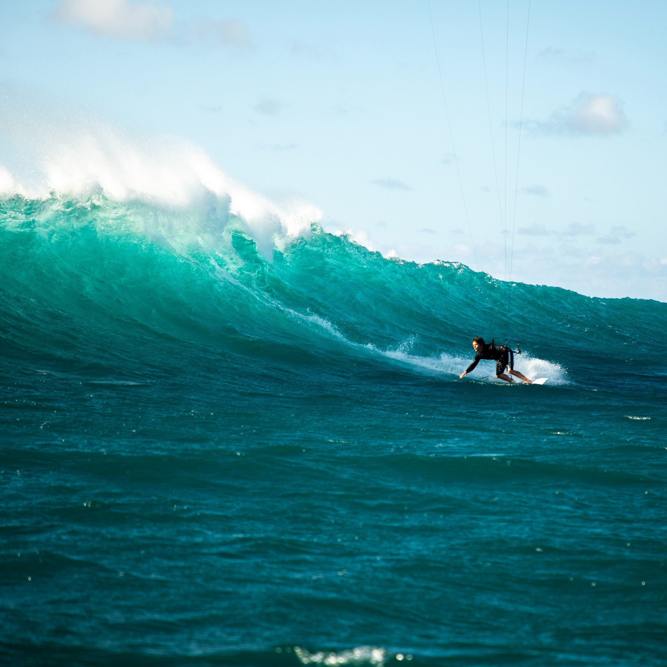 North Carve 2021 (demo)