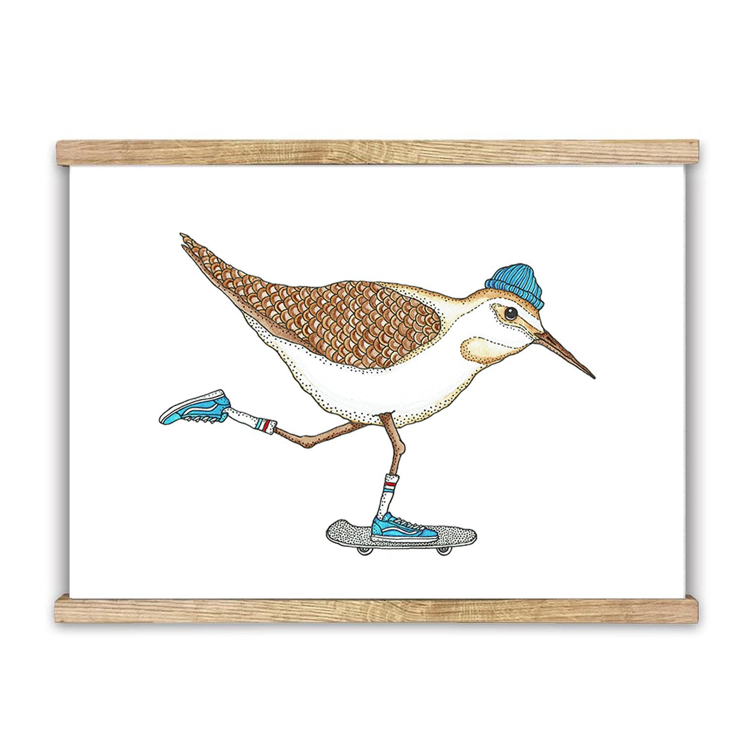 Lakor - Sandpiper Skate Poster