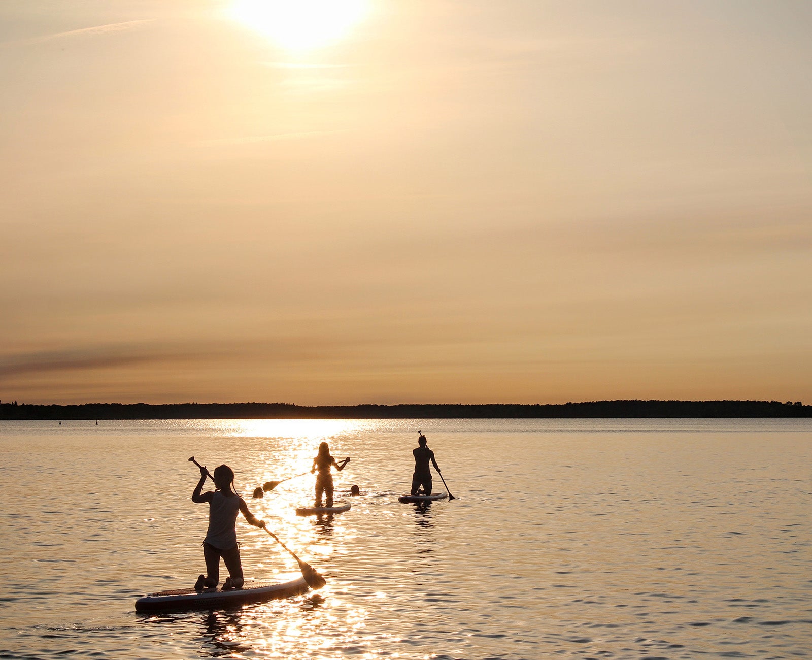 SUP Rental Köpenhamn