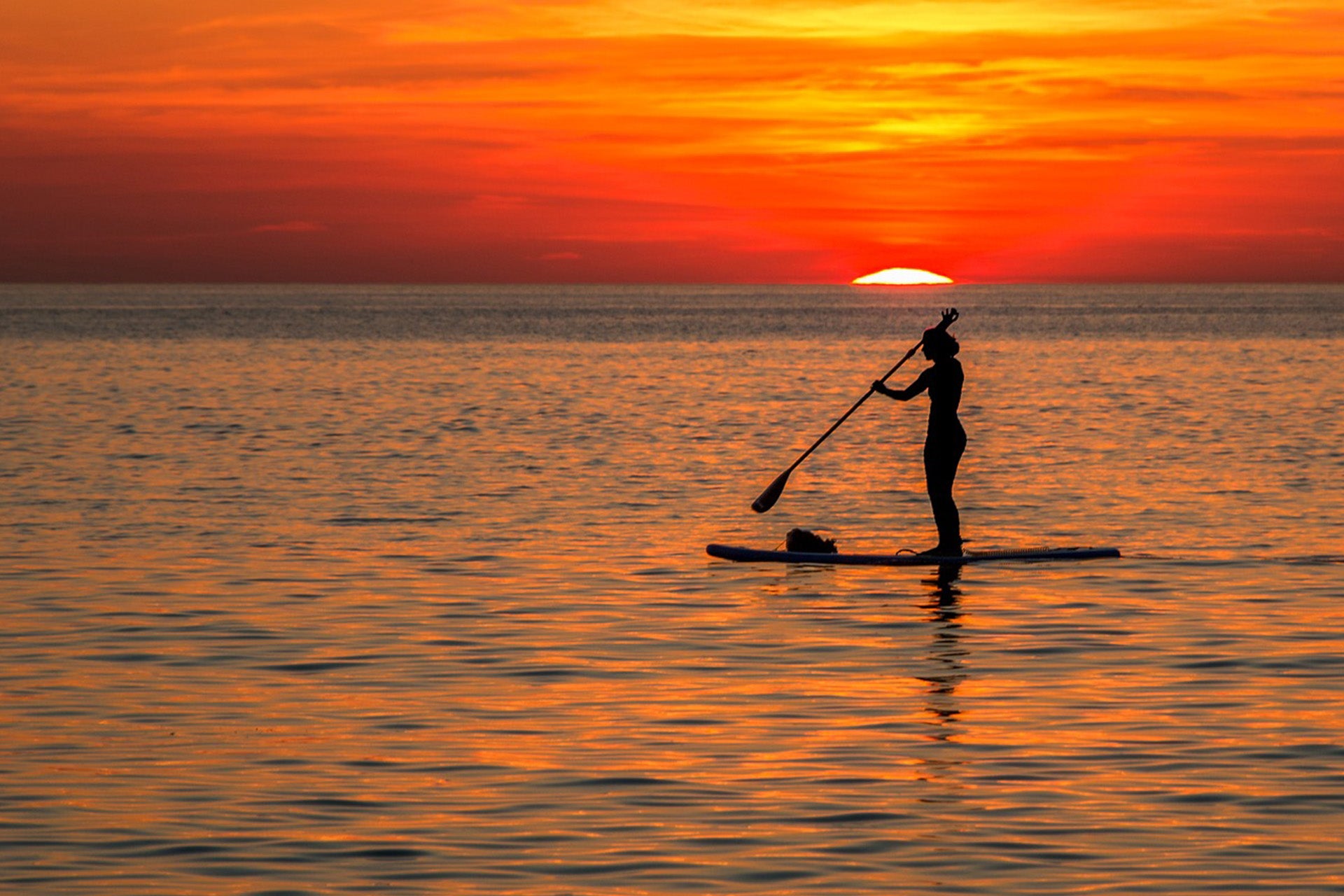 SUP Rental Köpenhamn