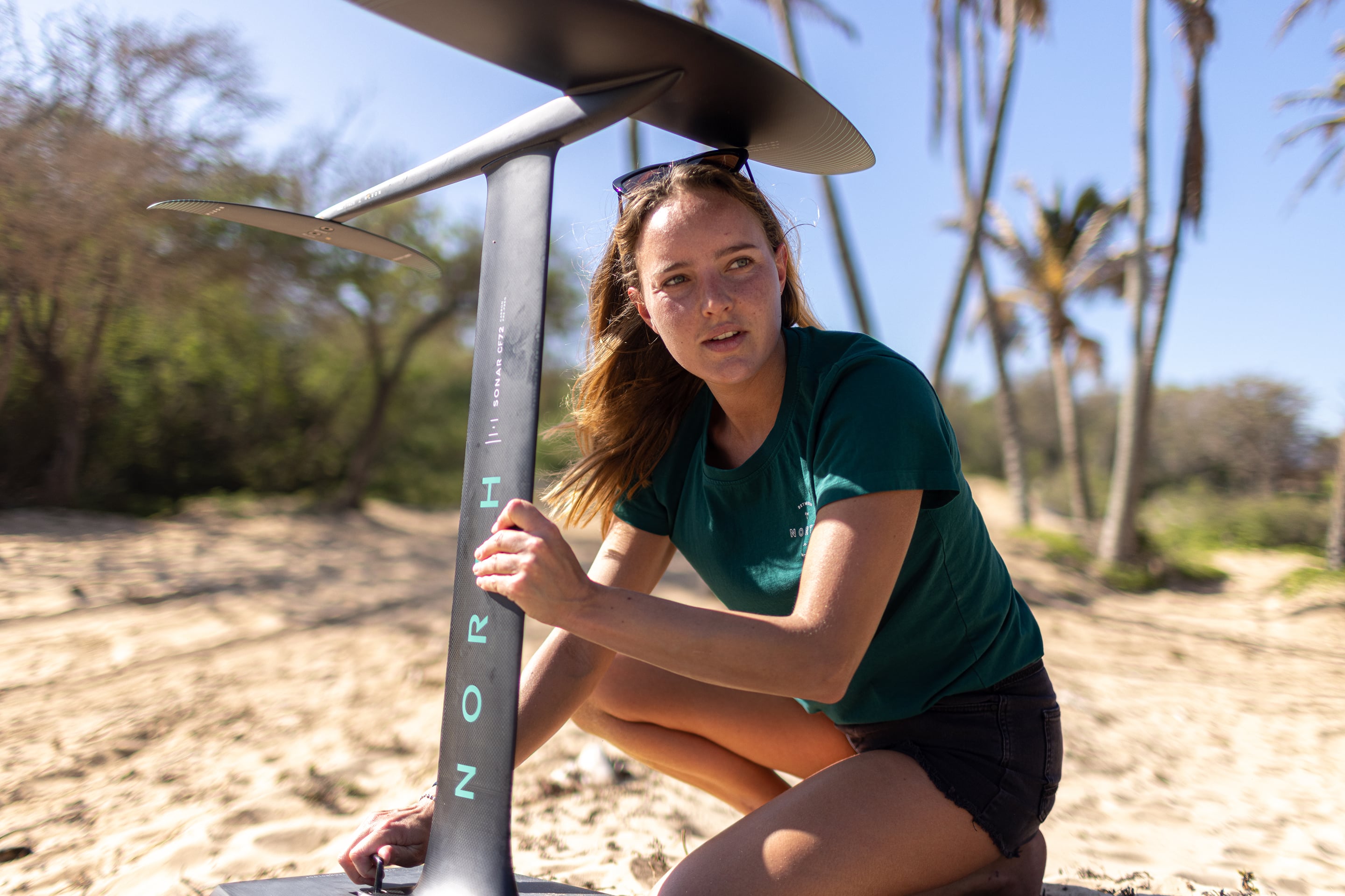 Sonar S270 Stabilizer