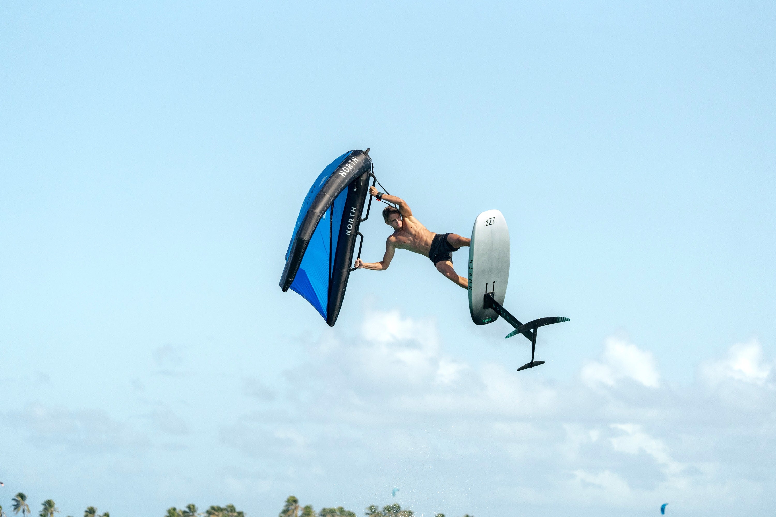 Wing Handle - Carbon