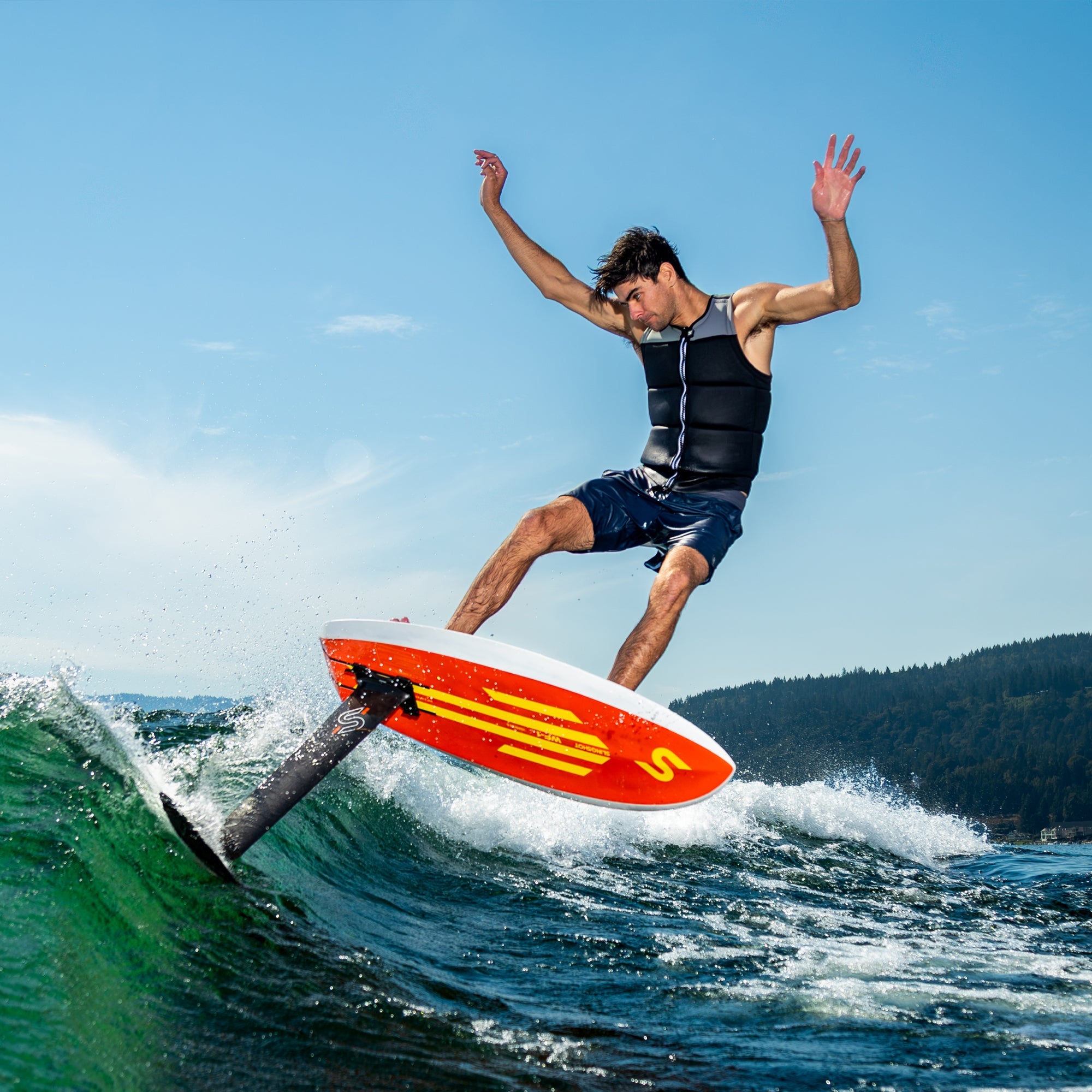 Wf-1 V6 3'11" Board Only