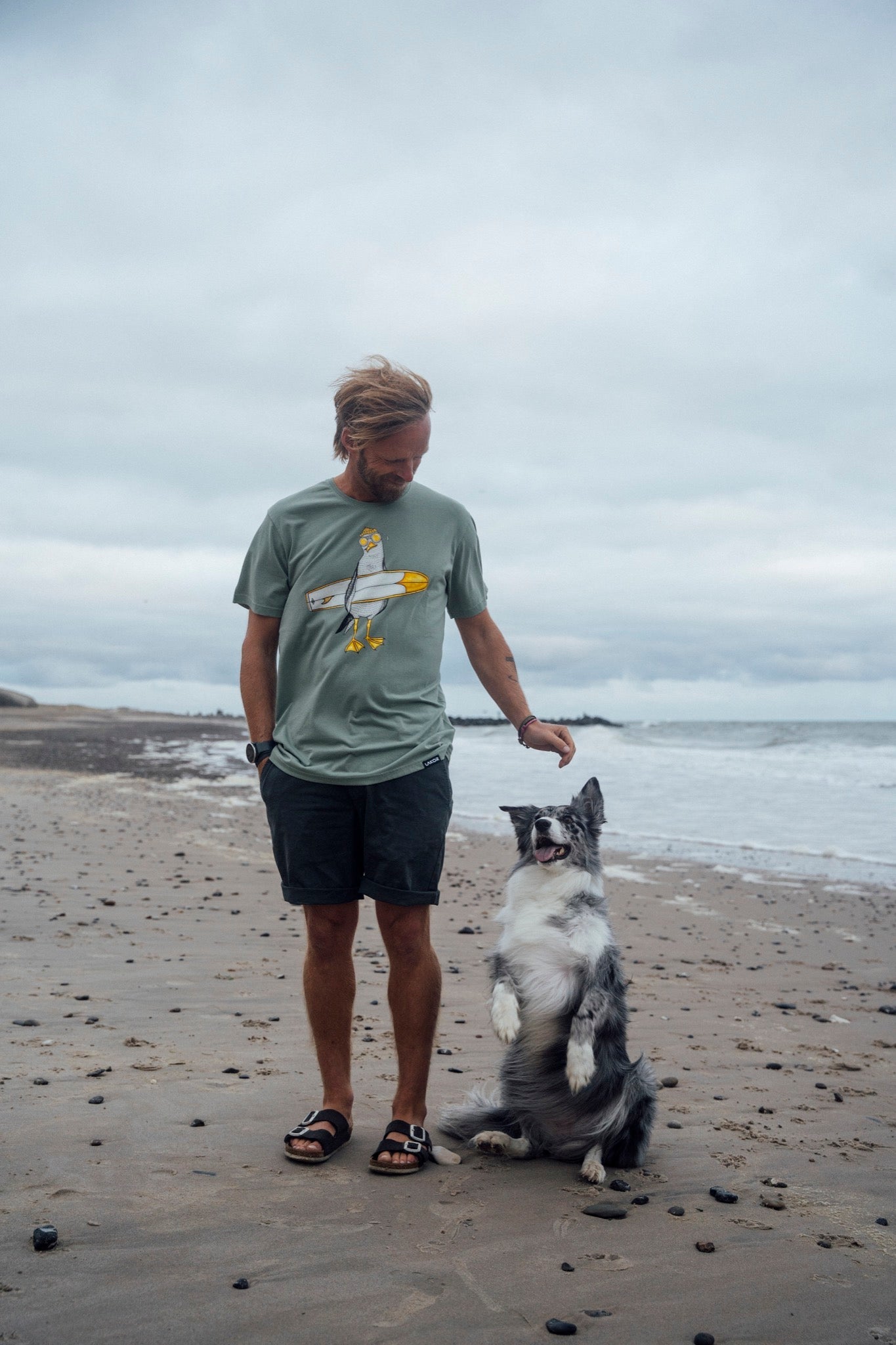 Surfing Seagull T-shirt (Green Bay) 