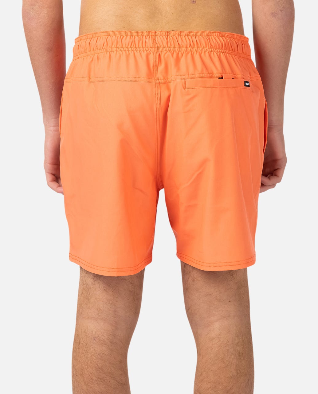 Daglig 16" volleykort