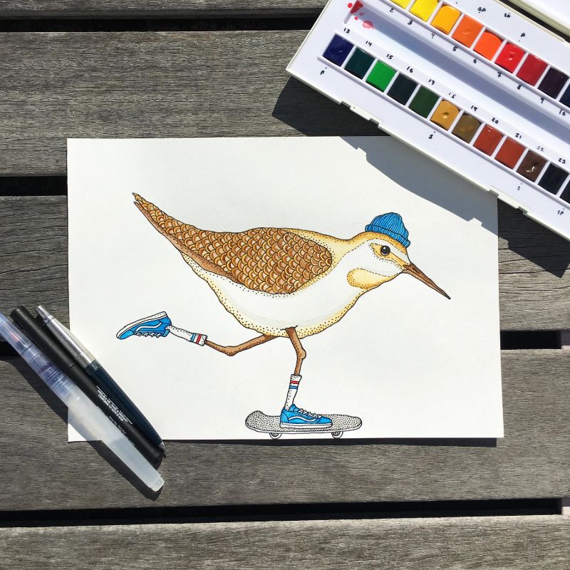 Lakor - Sandpiper skate T-shirt 